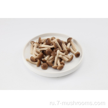 Замороженный свежий бук гриб-150 г